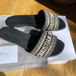 Christian Dior DWAY slide